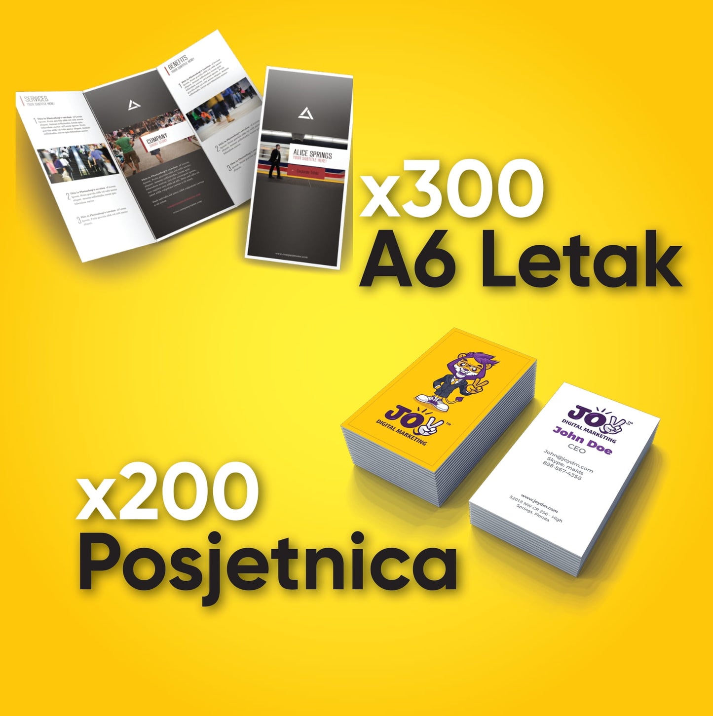 Business starter paket 2 (200x vizitki, 300x letaka A6)